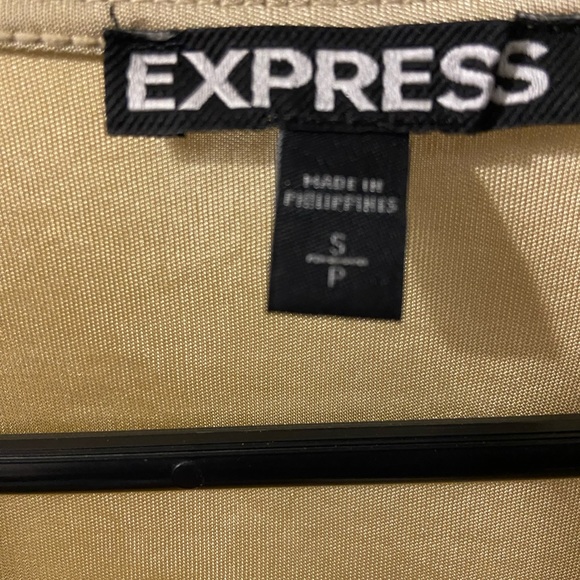 Express Dress - Picture 3 of 3